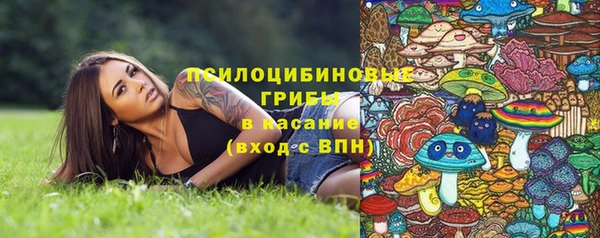 spice Лиски