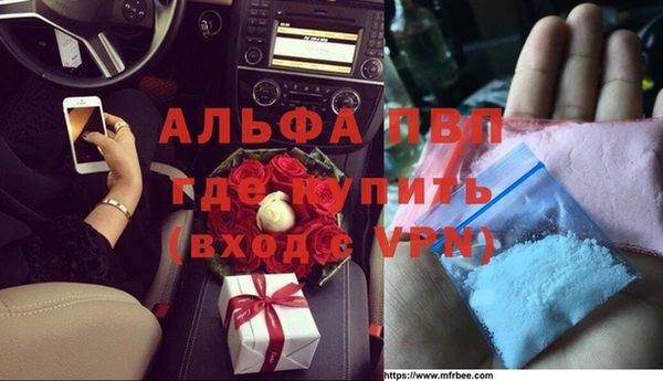 сатива Алексеевка