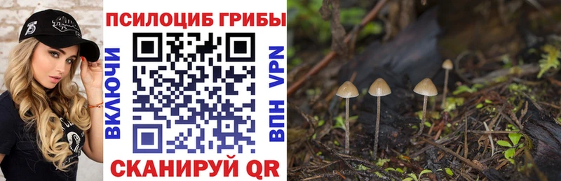 где купить наркоту  Анапа  Галлюциногенные грибы MAGIC MUSHROOMS 